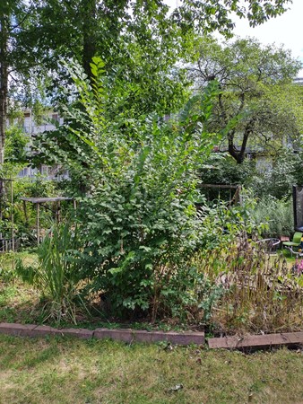 Medium property photo - Valentijnkade 119, 1095 JL Amsterdam